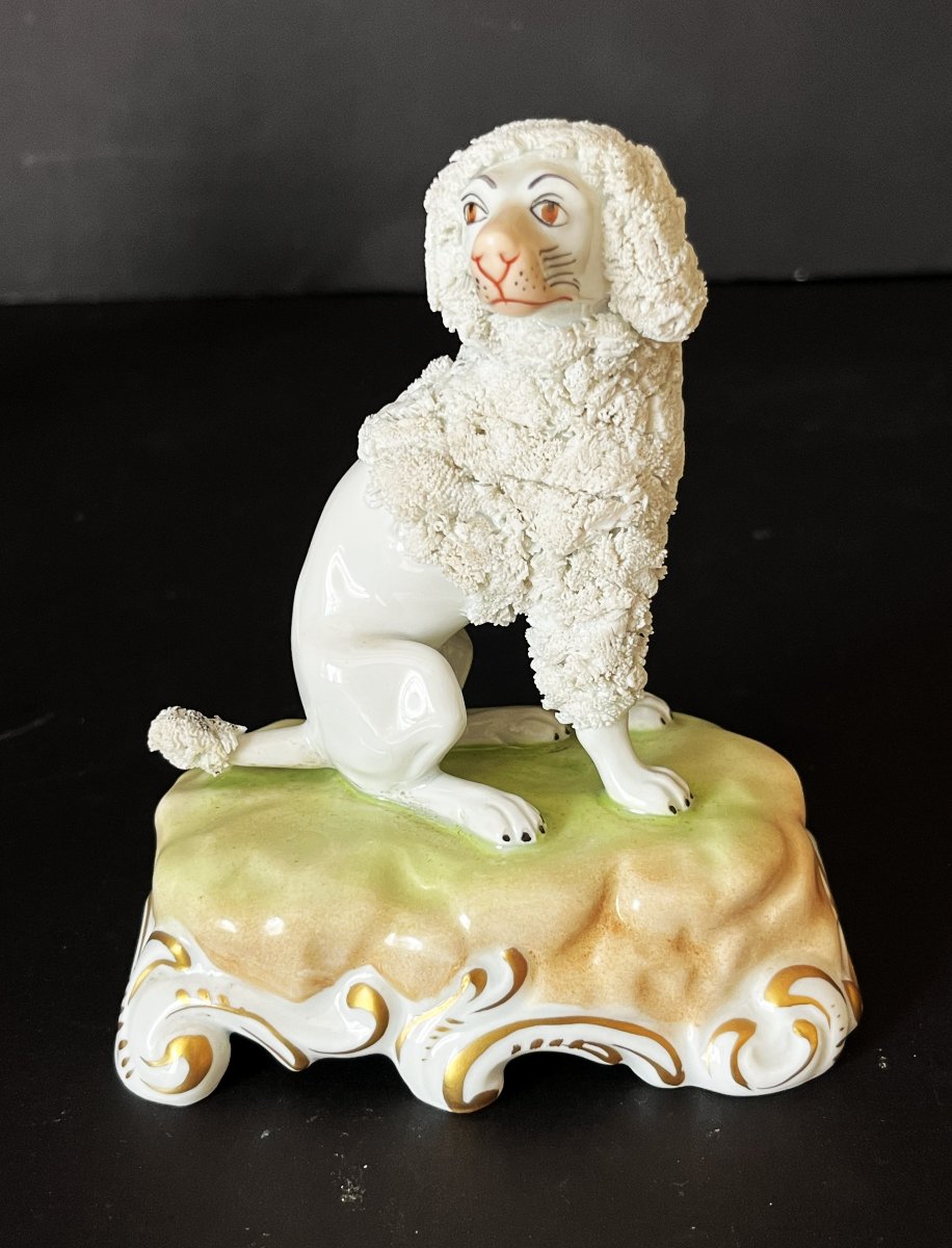 Porcelaine de Dresde, paire de  caniches royaux assis.-photo-1