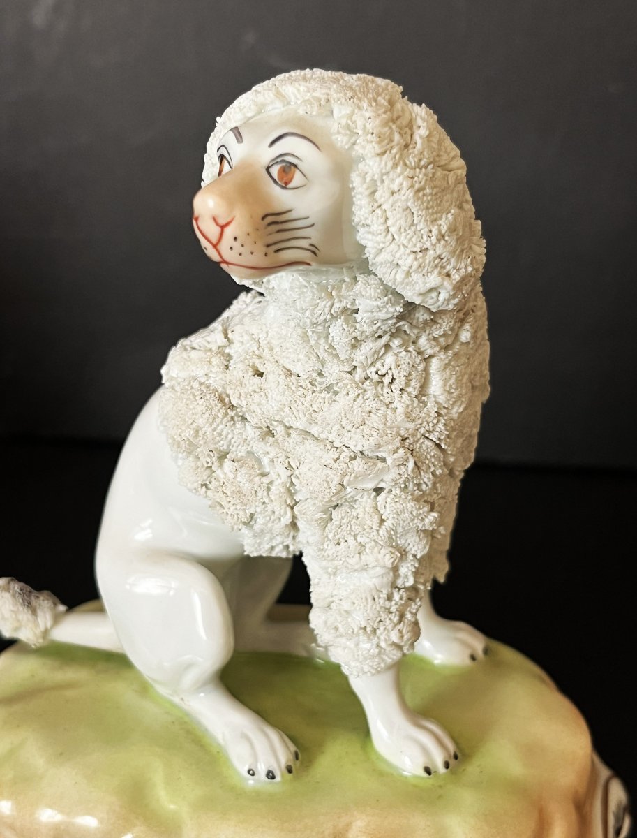 Porcelaine de Dresde, paire de  caniches royaux assis.-photo-4