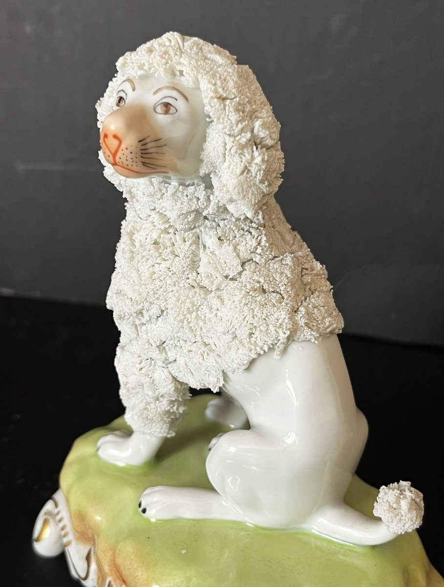 Porcelaine de Dresde, paire de  caniches royaux assis.-photo-5