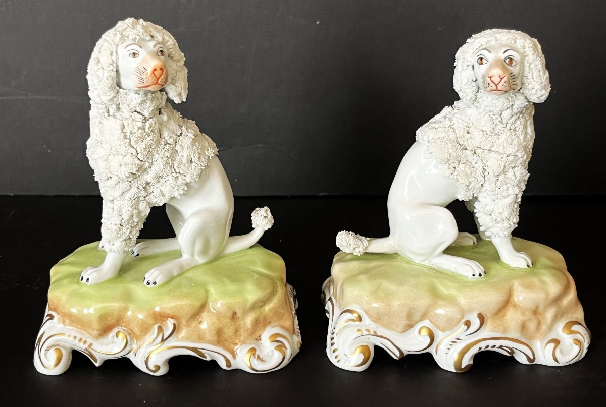 Porcelaine de Dresde, paire de  caniches royaux assis.