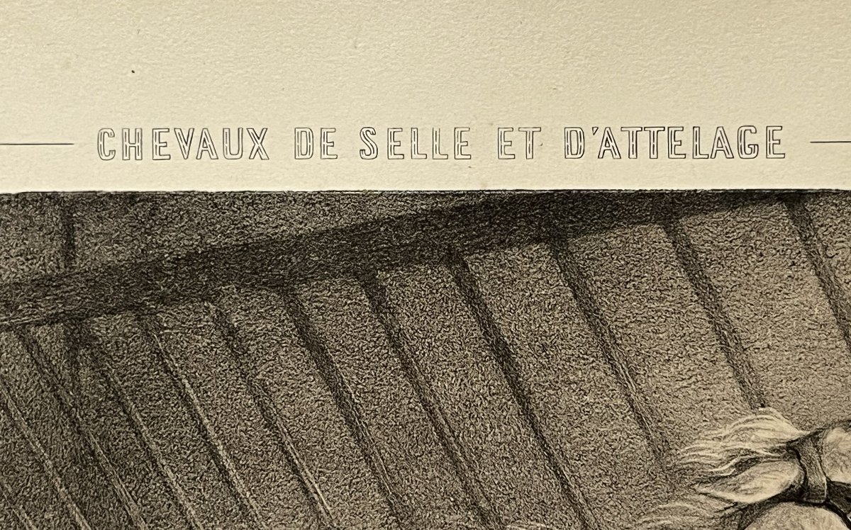 Alfred de Dreux, grande lithographie en sépia de chez Goupil 1861, "mille tonnerres"-photo-2