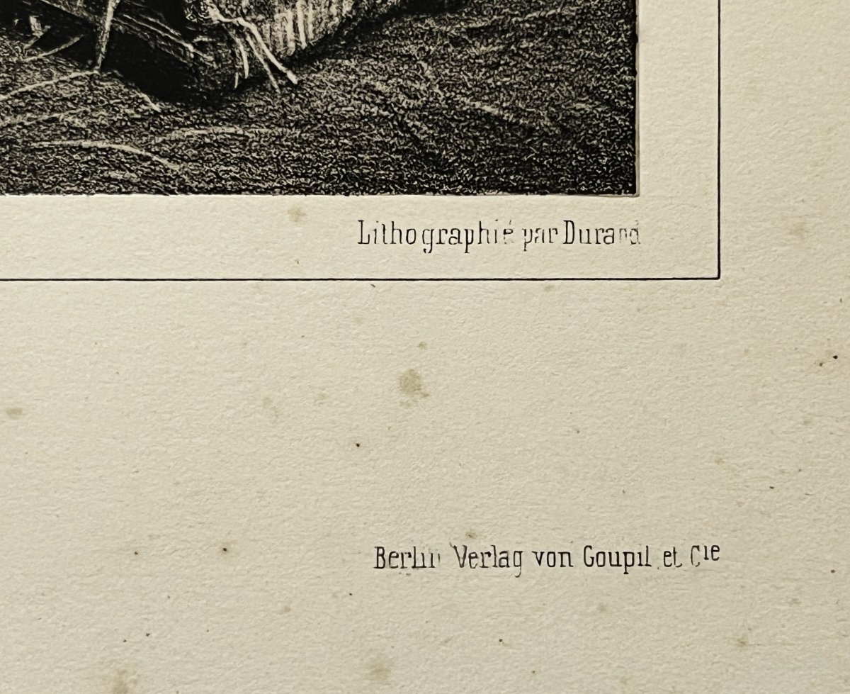 Alfred de Dreux, grande lithographie en sépia de chez Goupil 1861, "mille tonnerres"-photo-5
