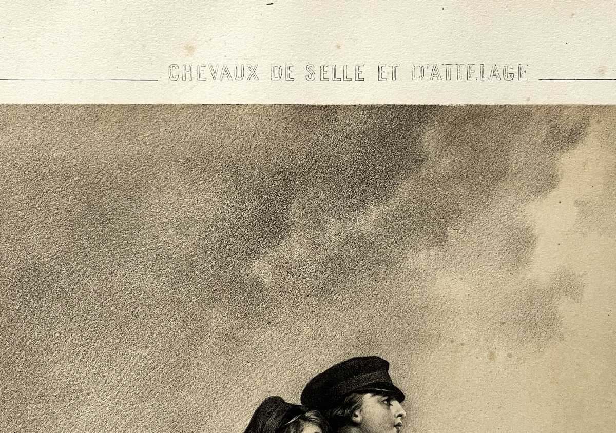 Alfred de Dreux, grande lithographie en sépia de chez Goupil 1860, "les débuts d'un Jockey"-photo-1