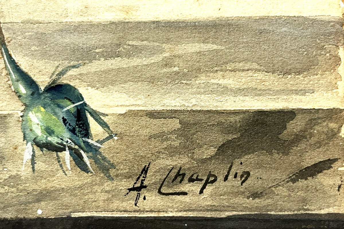 Arthur Chaplin 1869/1935 "la Rose du matin" aquarelle gouachée-photo-4