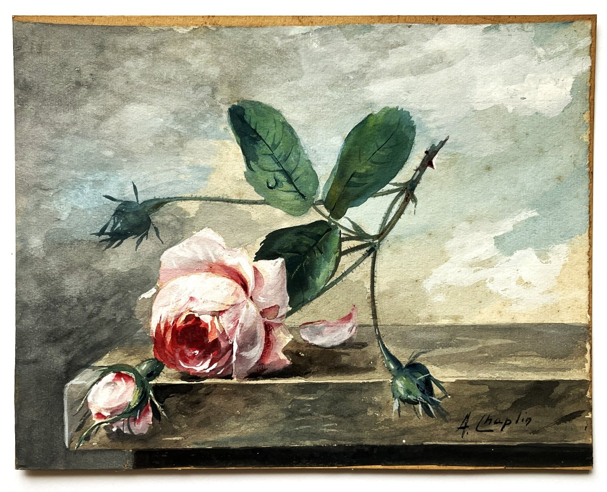 Arthur Chaplin 1869/1935 "la Rose du matin" aquarelle gouachée