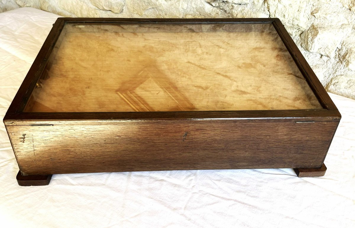 19th-century Paint Merchant's Cabinet, A Piece Of Trade Furniture.-photo-5