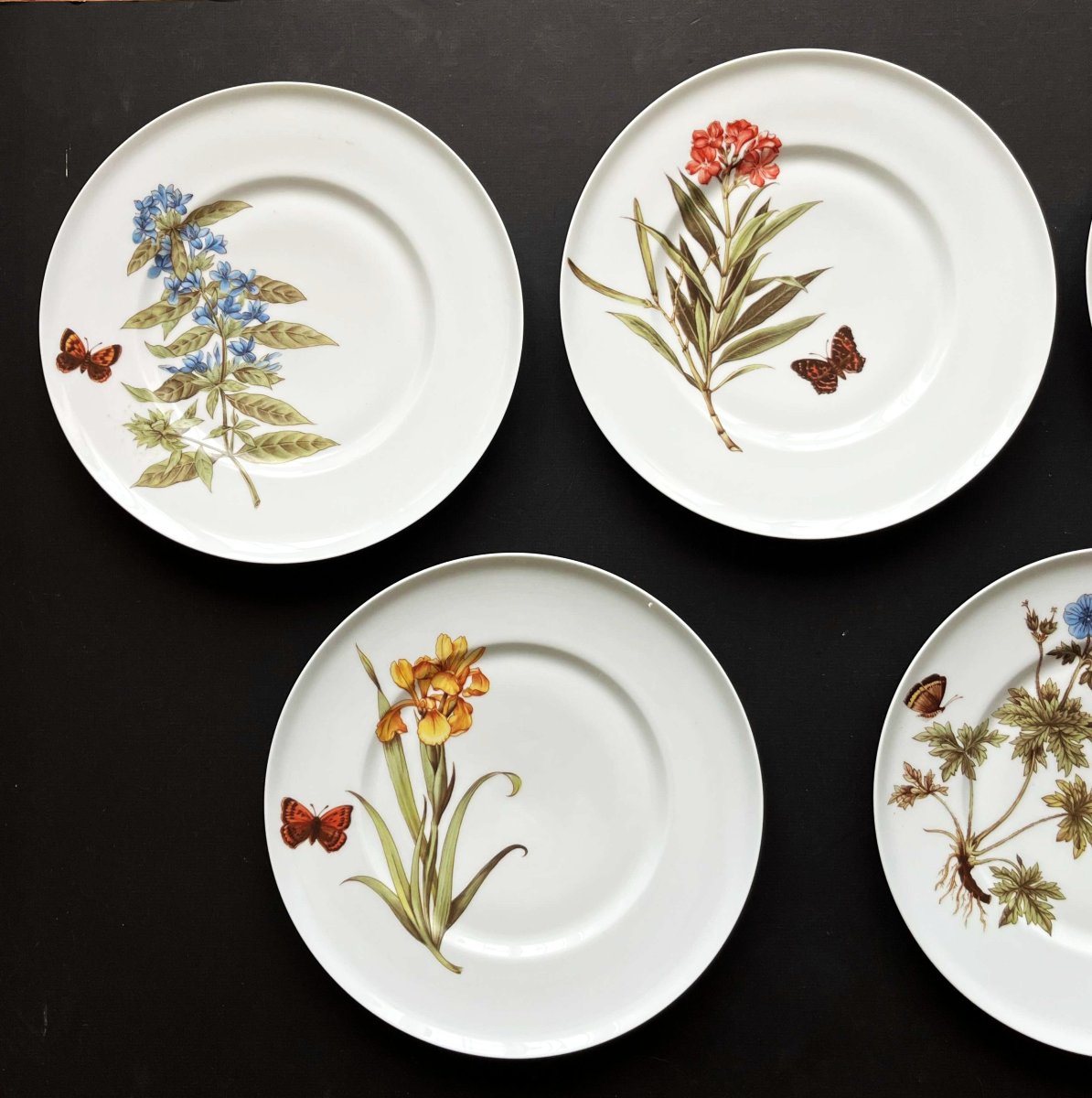 5 assiettes à décor de Papillons et fleurs par la maison Chastagner à Limoges-photo-2