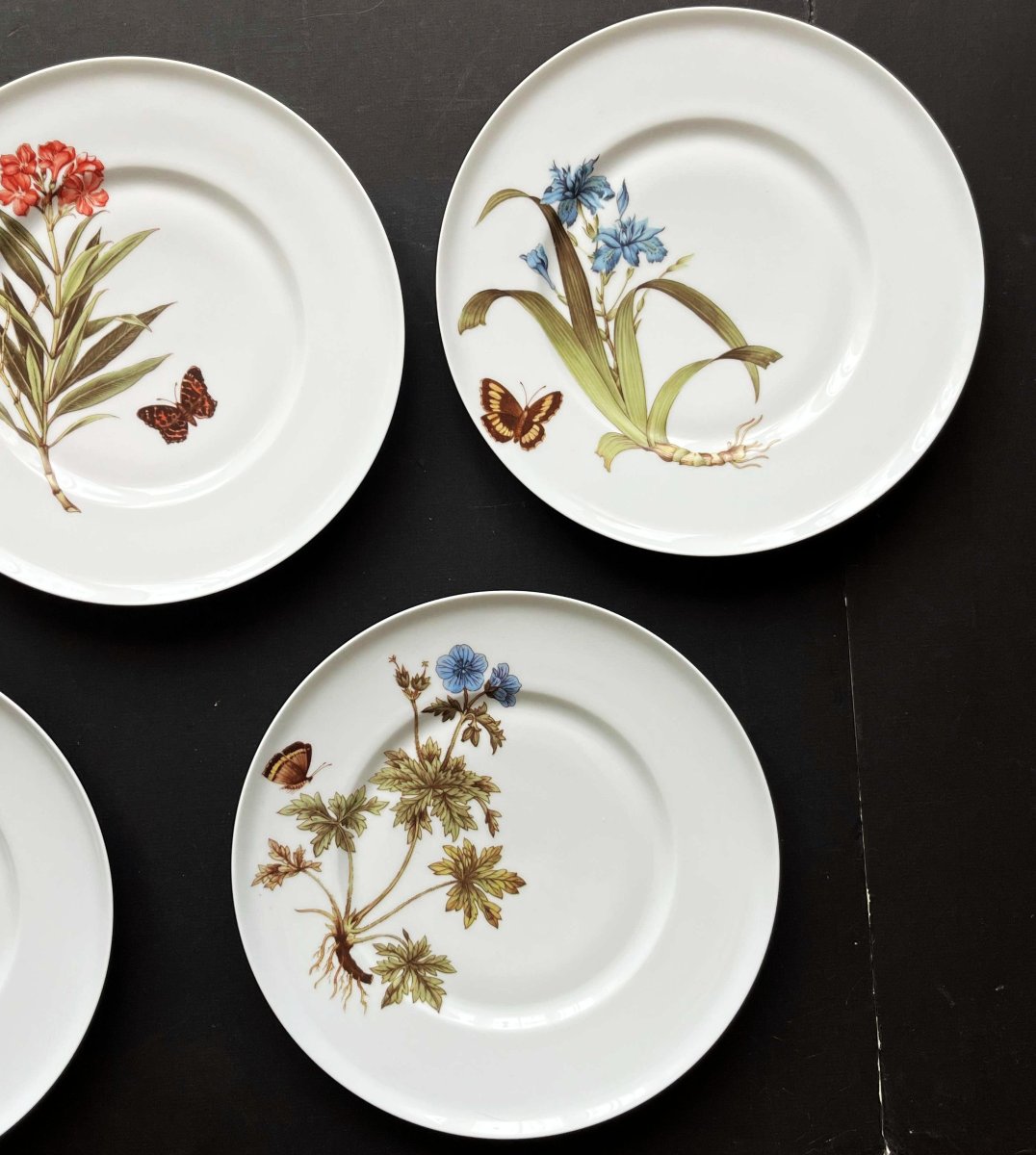5 assiettes à décor de Papillons et fleurs par la maison Chastagner à Limoges-photo-3