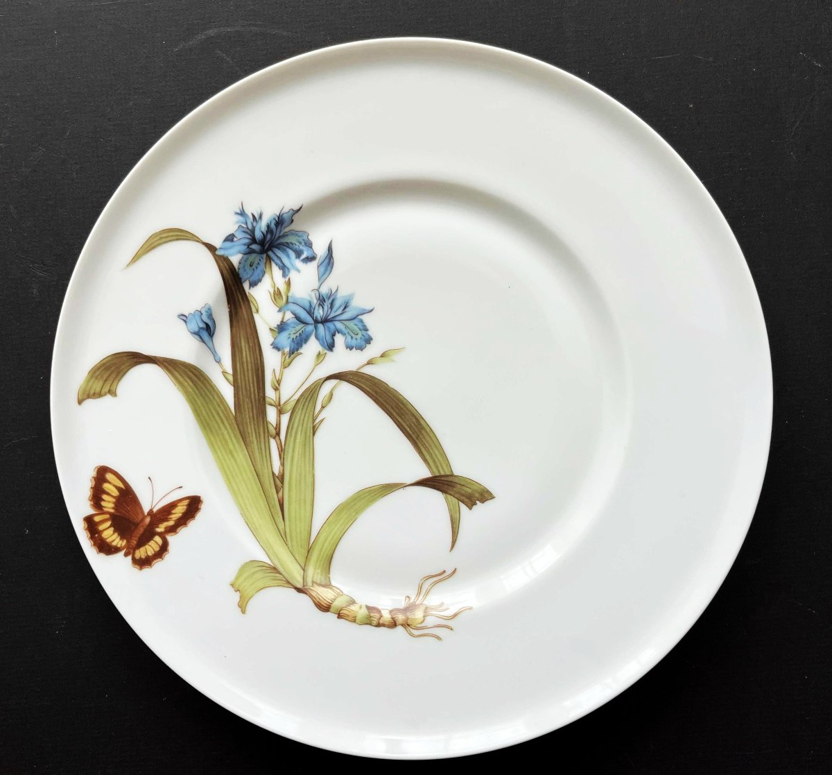 5 assiettes à décor de Papillons et fleurs par la maison Chastagner à Limoges-photo-3