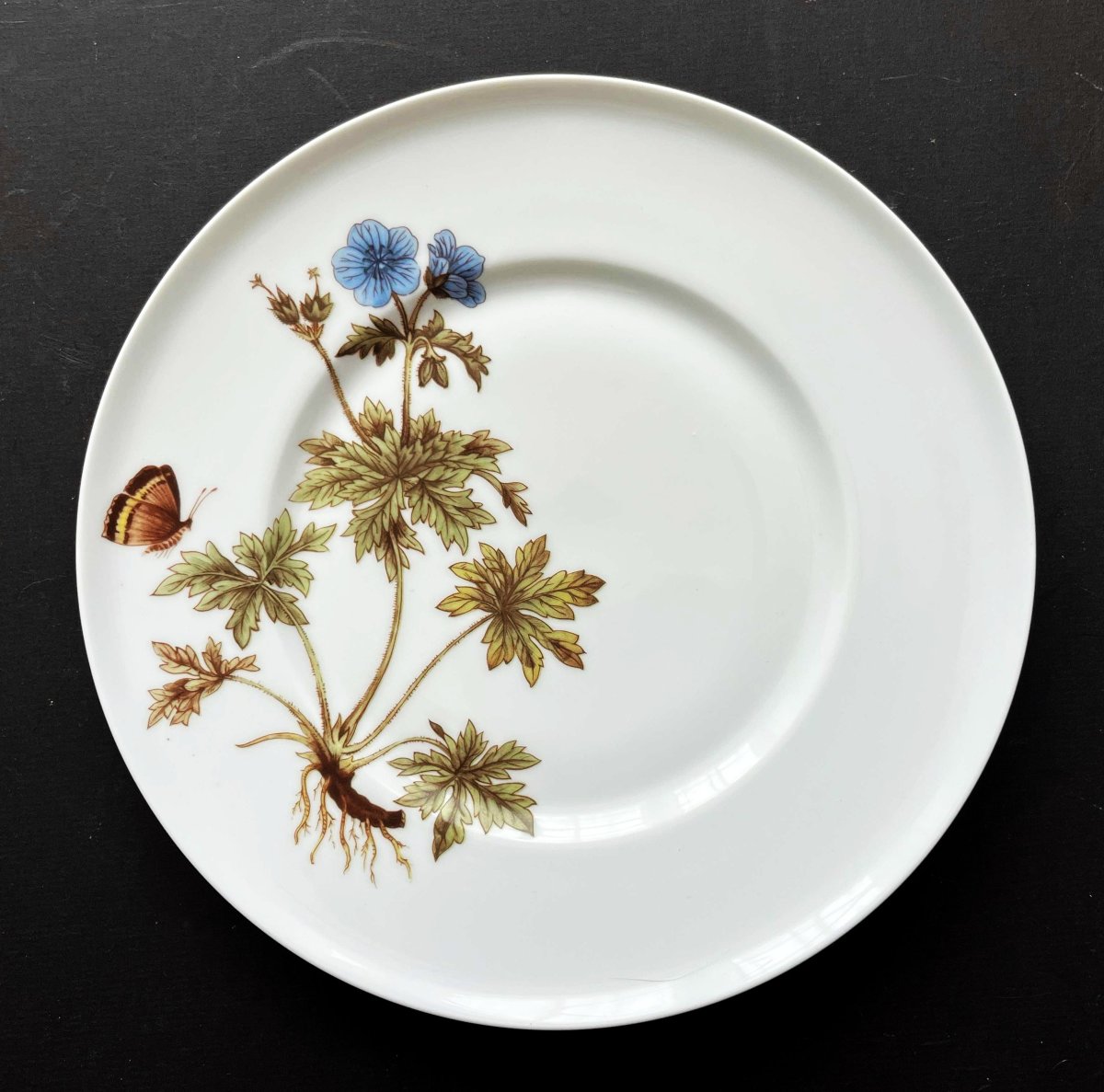 5 assiettes à décor de Papillons et fleurs par la maison Chastagner à Limoges-photo-4
