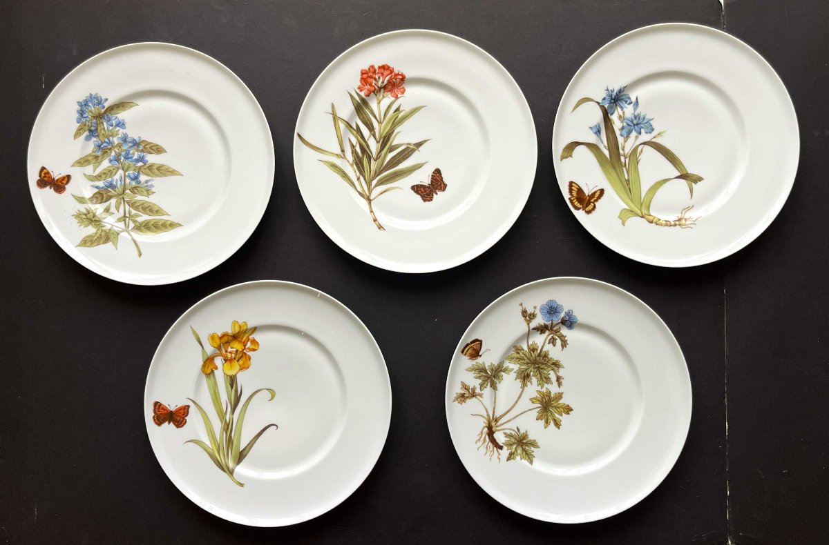 5 assiettes à décor de Papillons et fleurs par la maison Chastagner à Limoges