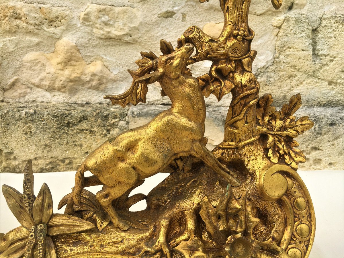 Front Of Fire With Vènery Decor In Gilt Bronze From The 19th-photo-2