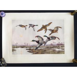 Georges Frédéric Rötig 1873/1961), “flight Of Ducks” Drypoint And Etching, Print