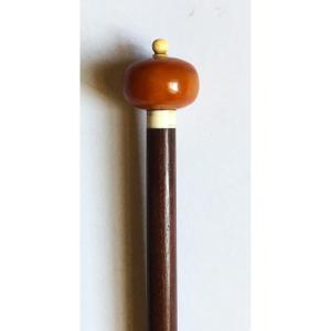 Cane In Amber, Ivory And Exotic Wood From The 19th