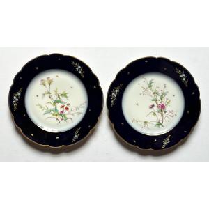 Haviland 1876 Pair Of Plates With Floral Decor From The 19th.
