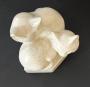 1774691-alb-6a26e5d34085b.jpg