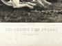 1801995-alb-6a6b2b164556b.jpg