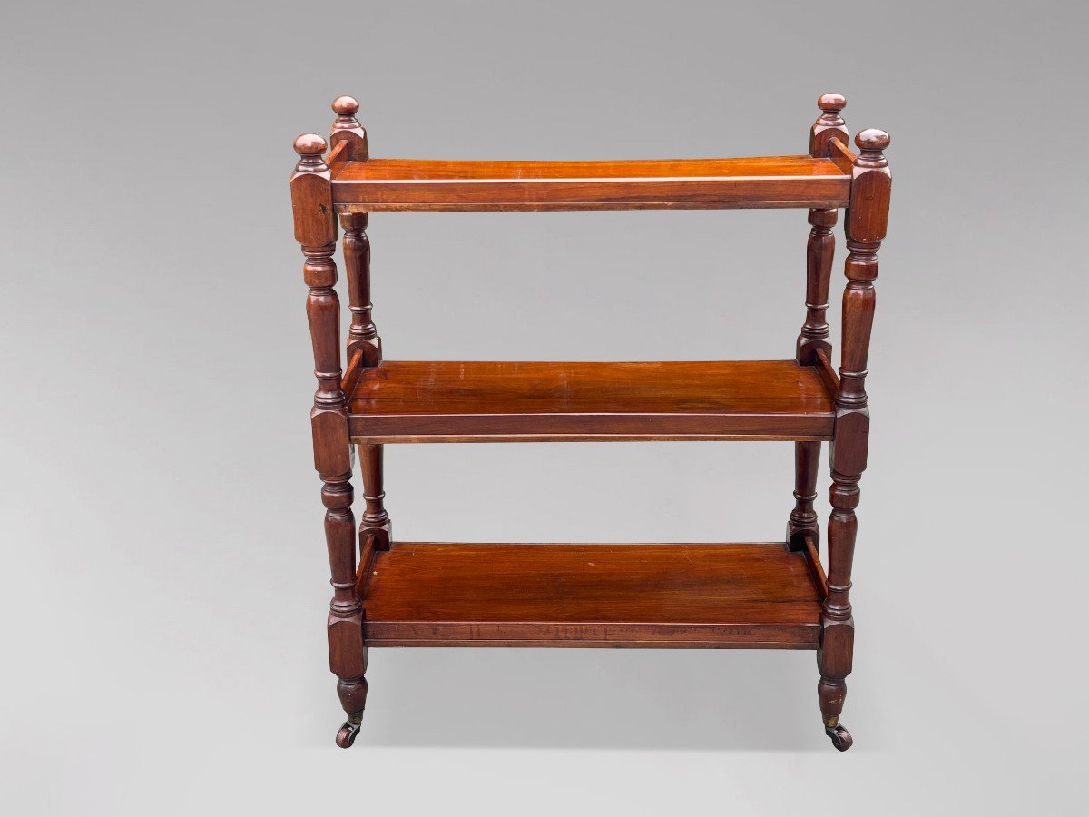 19th Century Victorian Period Mahogany Dinner Wagon Buffet-photo-3