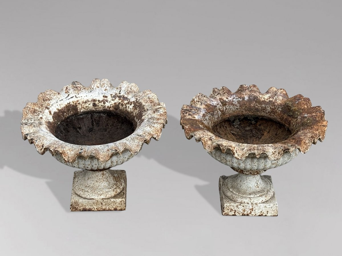 Pair Of 19th Century English Cast Iron Tazza Urns Or Planters-photo-2