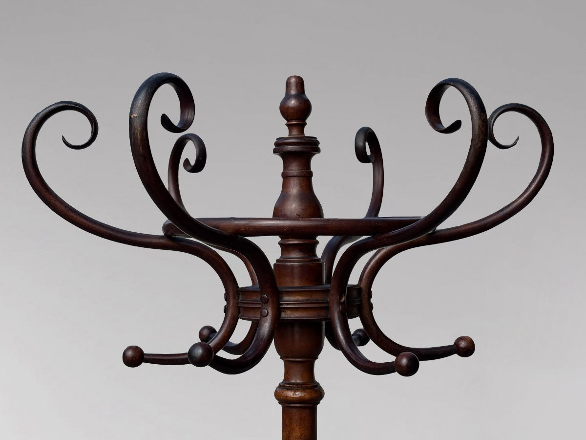 19th Century Bentwood Beech Coat & Hat Stand Labelled Fischel-photo-5
