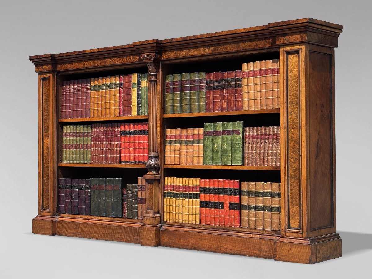 19ème Siècle, Bibliothèque en Ronce de Noyer, Époque Guillaume IV