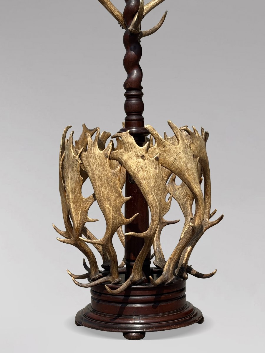 19th-century Antlers Coat Stand By J. Parker Of Woodstock-photo-2
