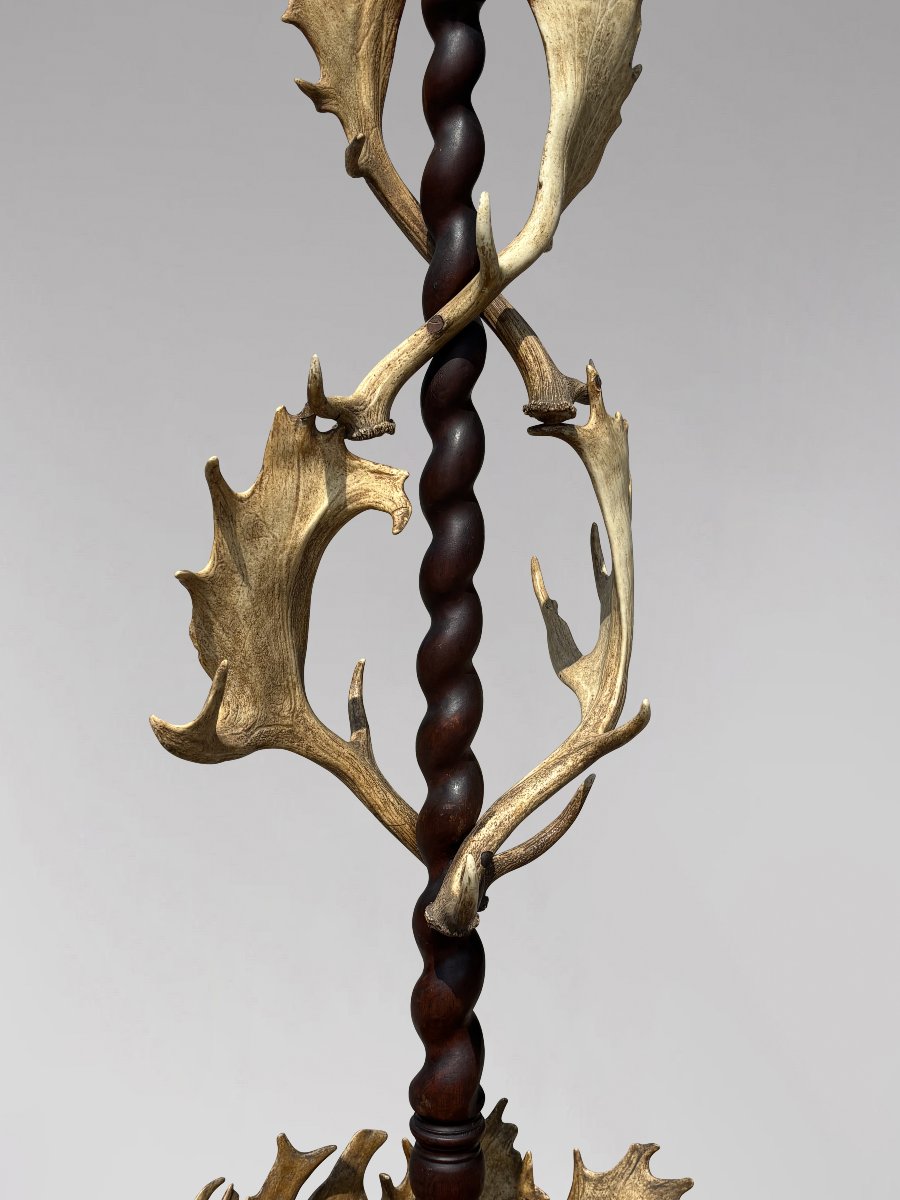 19th-century Antlers Coat Stand By J. Parker Of Woodstock-photo-3