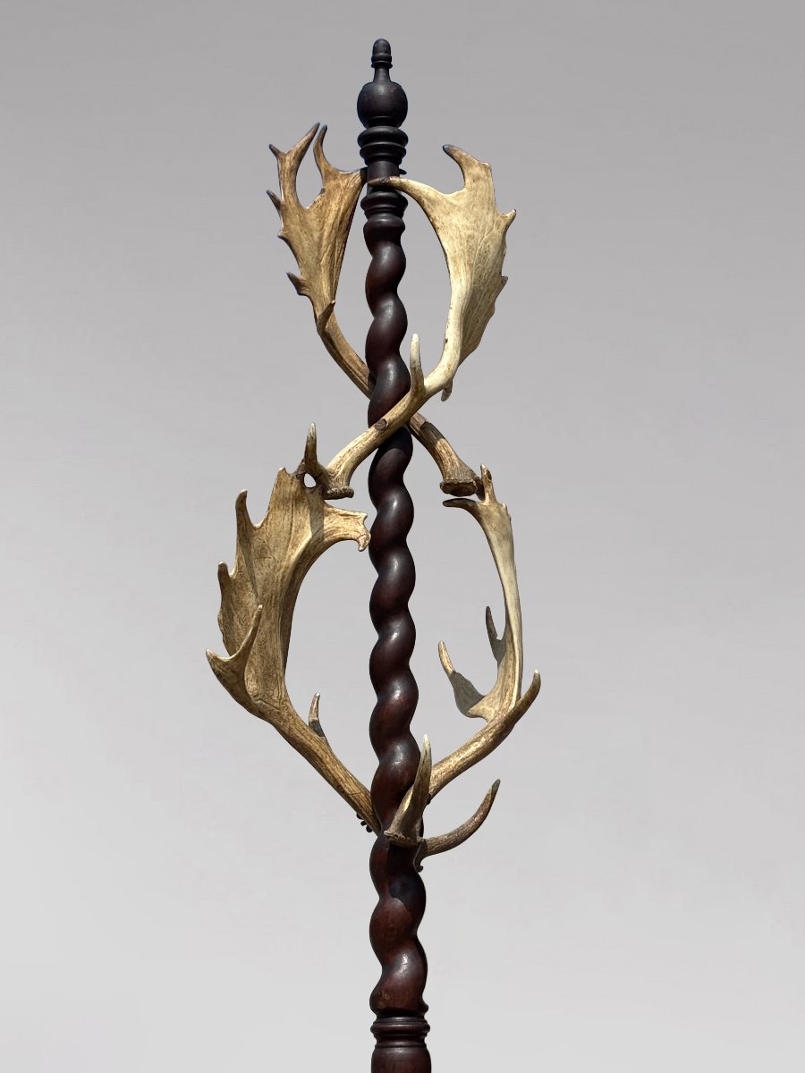 19th-century Antlers Coat Stand By J. Parker Of Woodstock-photo-4