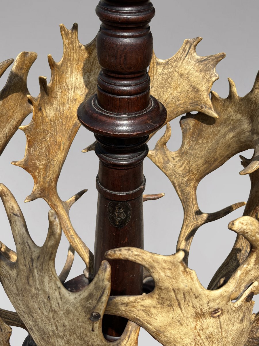 19th-century Antlers Coat Stand By J. Parker Of Woodstock-photo-2