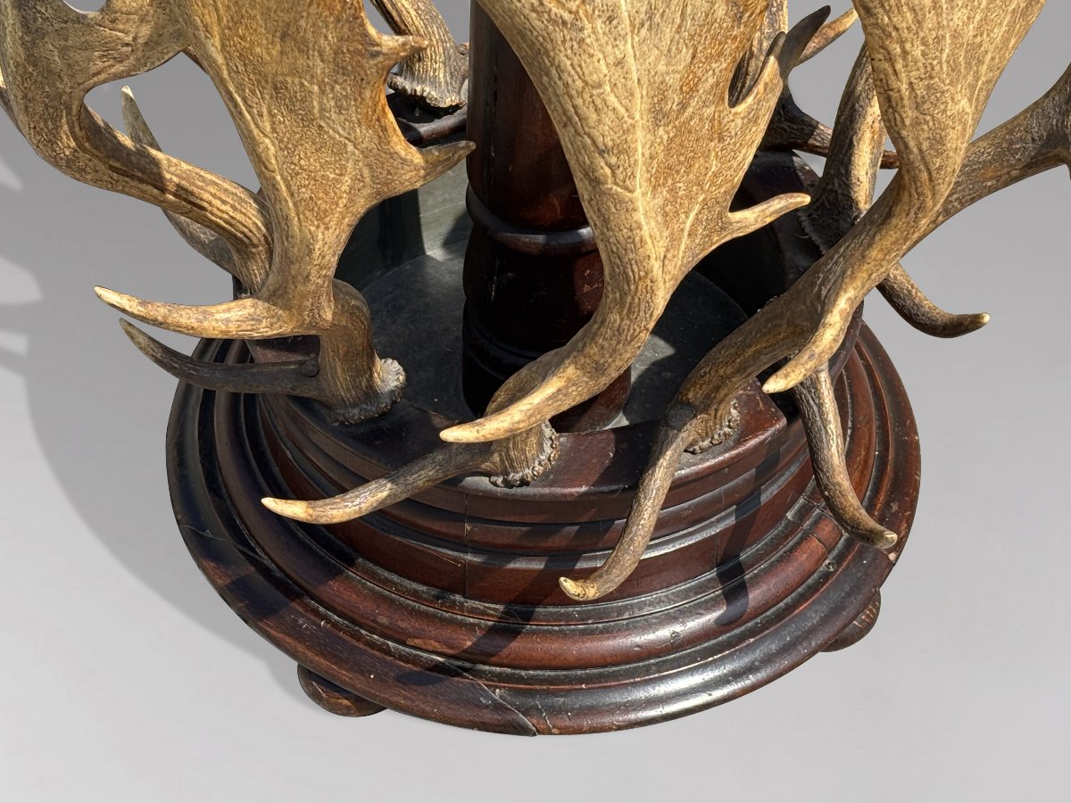 19th-century Antlers Coat Stand By J. Parker Of Woodstock-photo-4