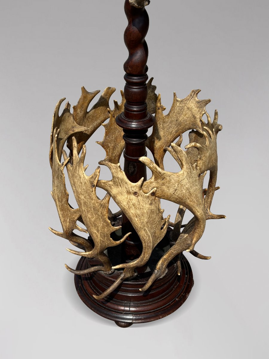 19th-century Antlers Coat Stand By J. Parker Of Woodstock-photo-5