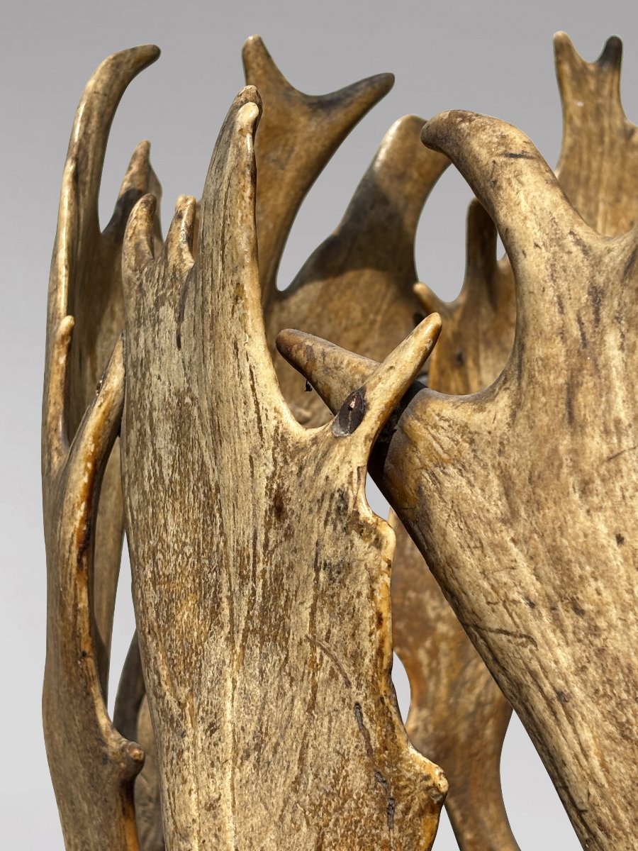 19th-century Antlers Coat Stand By J. Parker Of Woodstock-photo-6