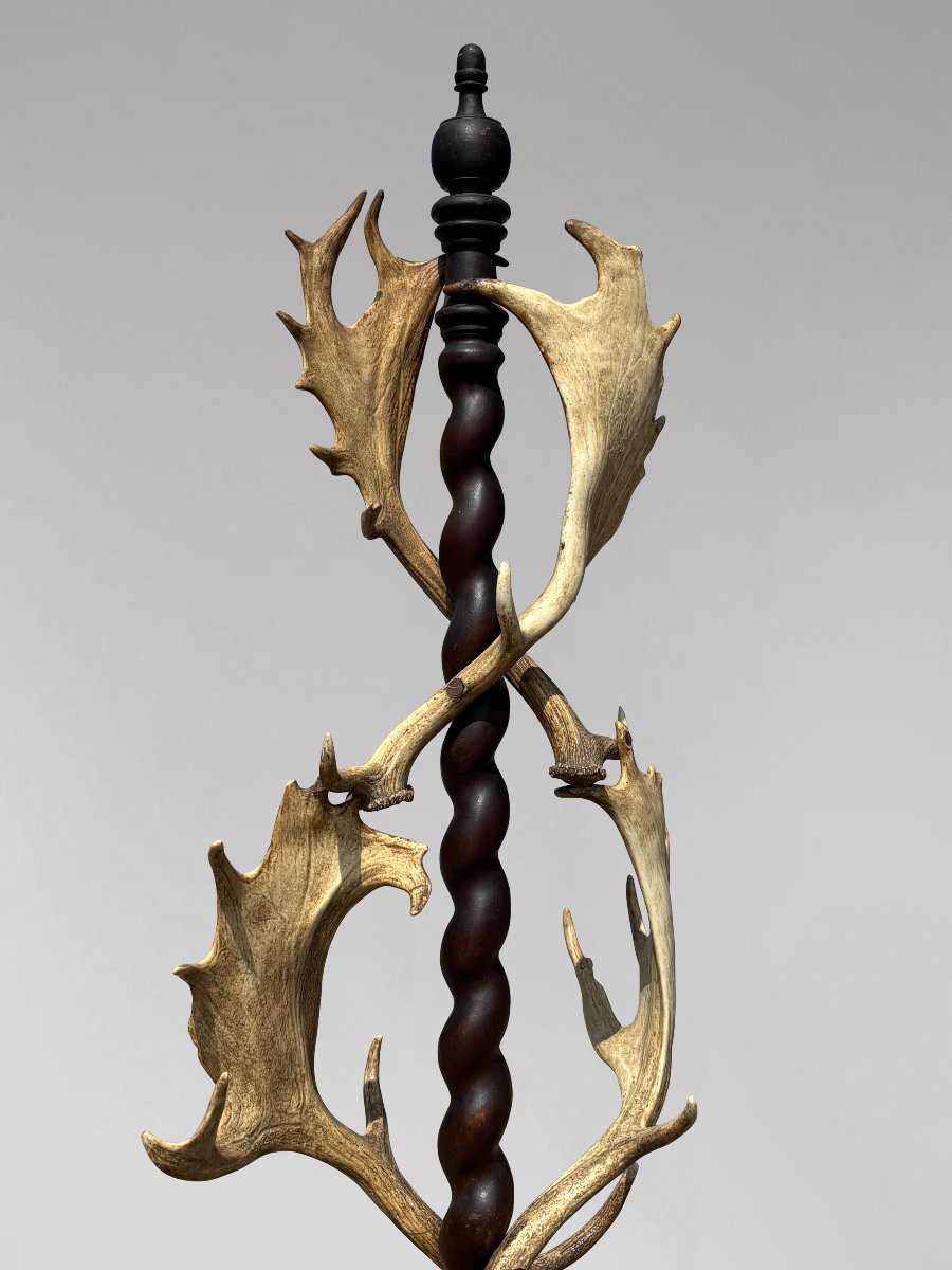 19th-century Antlers Coat Stand By J. Parker Of Woodstock-photo-7