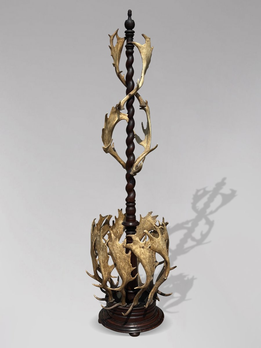 19th-century Antlers Coat Stand By J. Parker Of Woodstock-photo-8