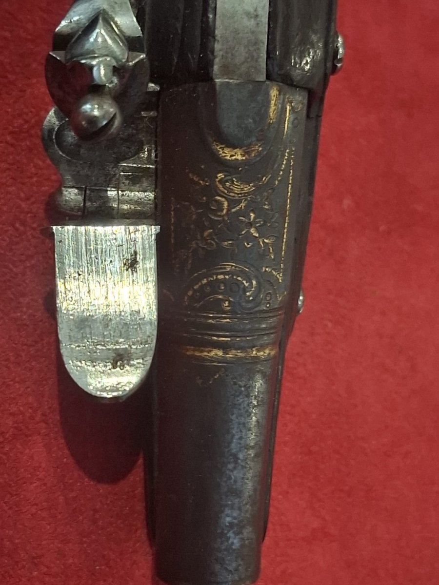 Carriage Gun XVIII-photo-3