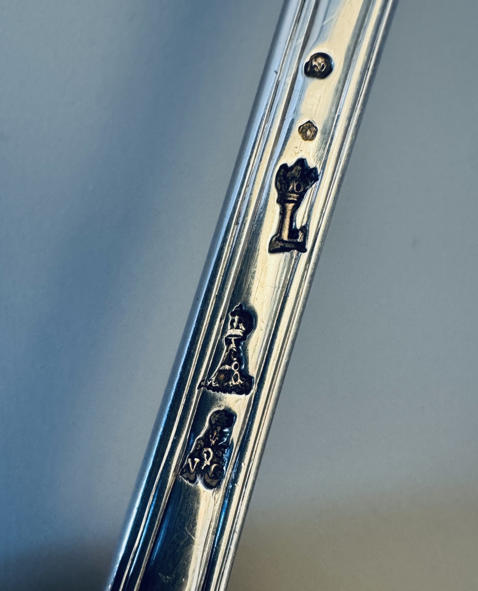Solid Silver Sprinkling Spoon, Paris 1784-photo-4