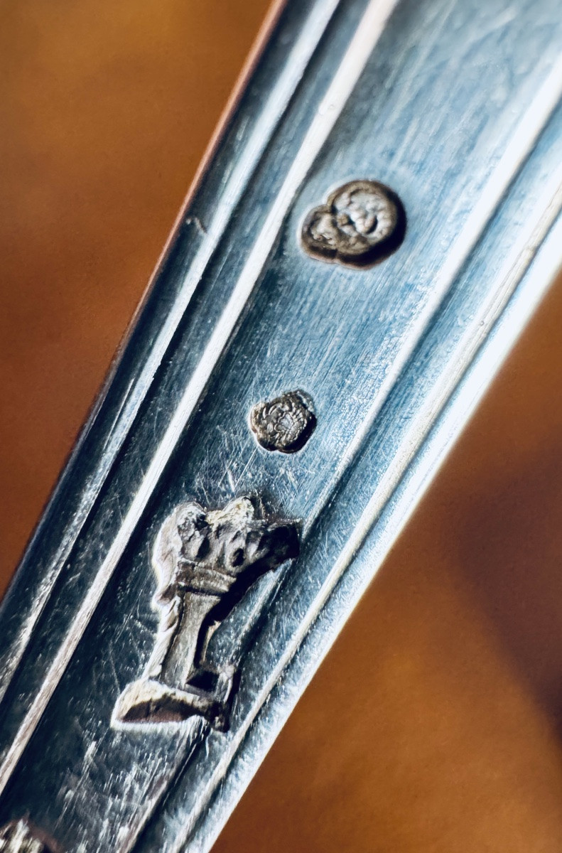 Solid Silver Sprinkling Spoon, Paris 1784-photo-2