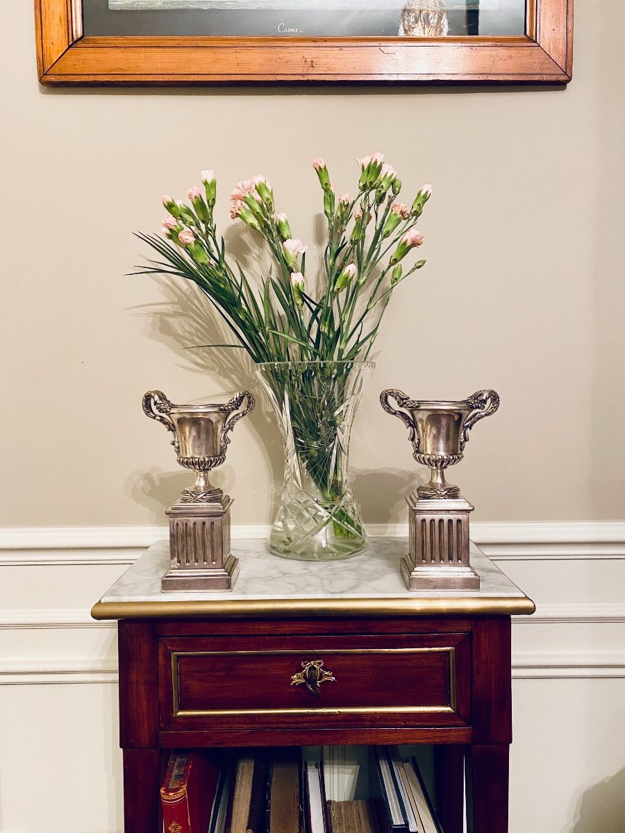 Pair Of Casseroles In Silver Bronze