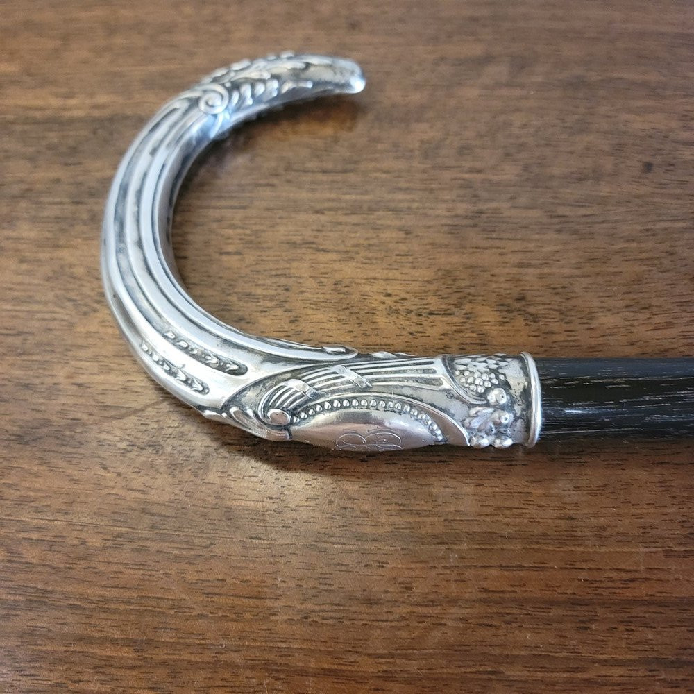Silver Dandy Cane-photo-1
