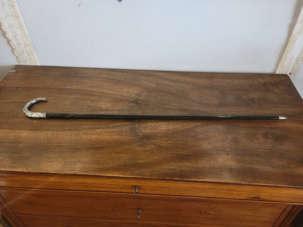 Silver Dandy Cane-photo-3