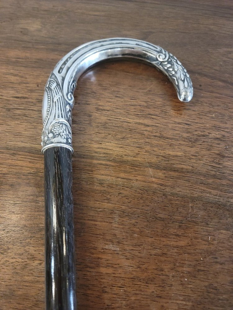 Silver Dandy Cane-photo-5