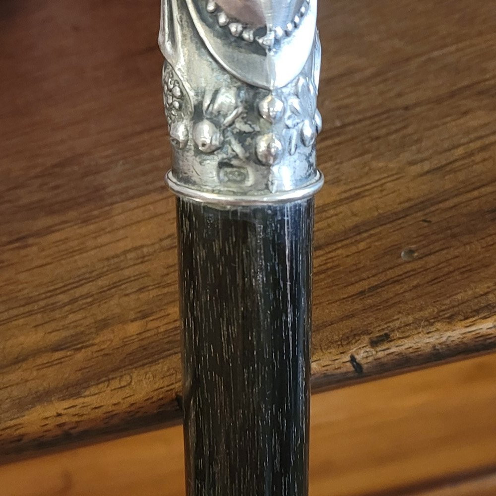 Silver Dandy Cane-photo-7