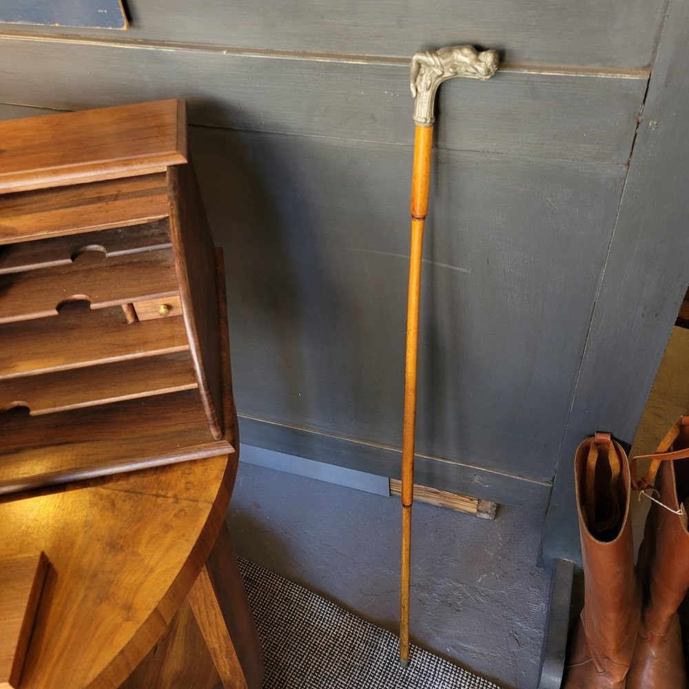 Female Nude Cane-photo-3