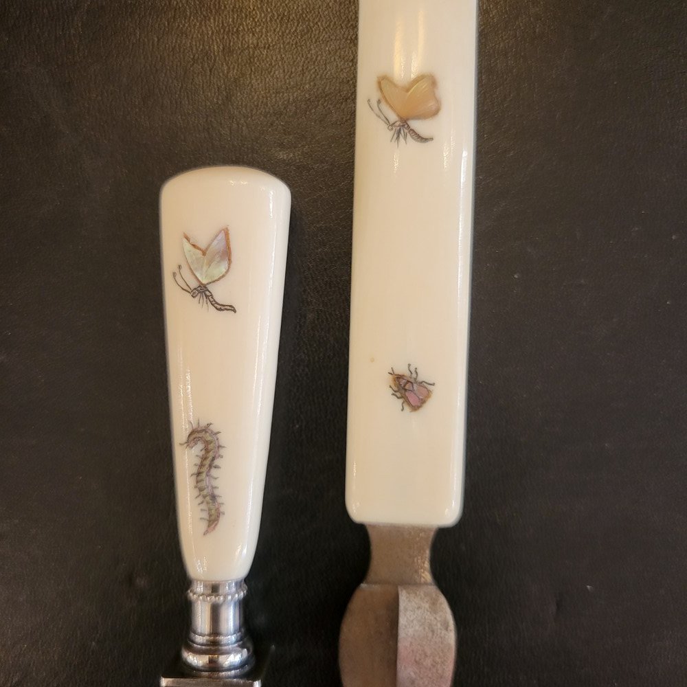 Insect Writing Kit-photo-3