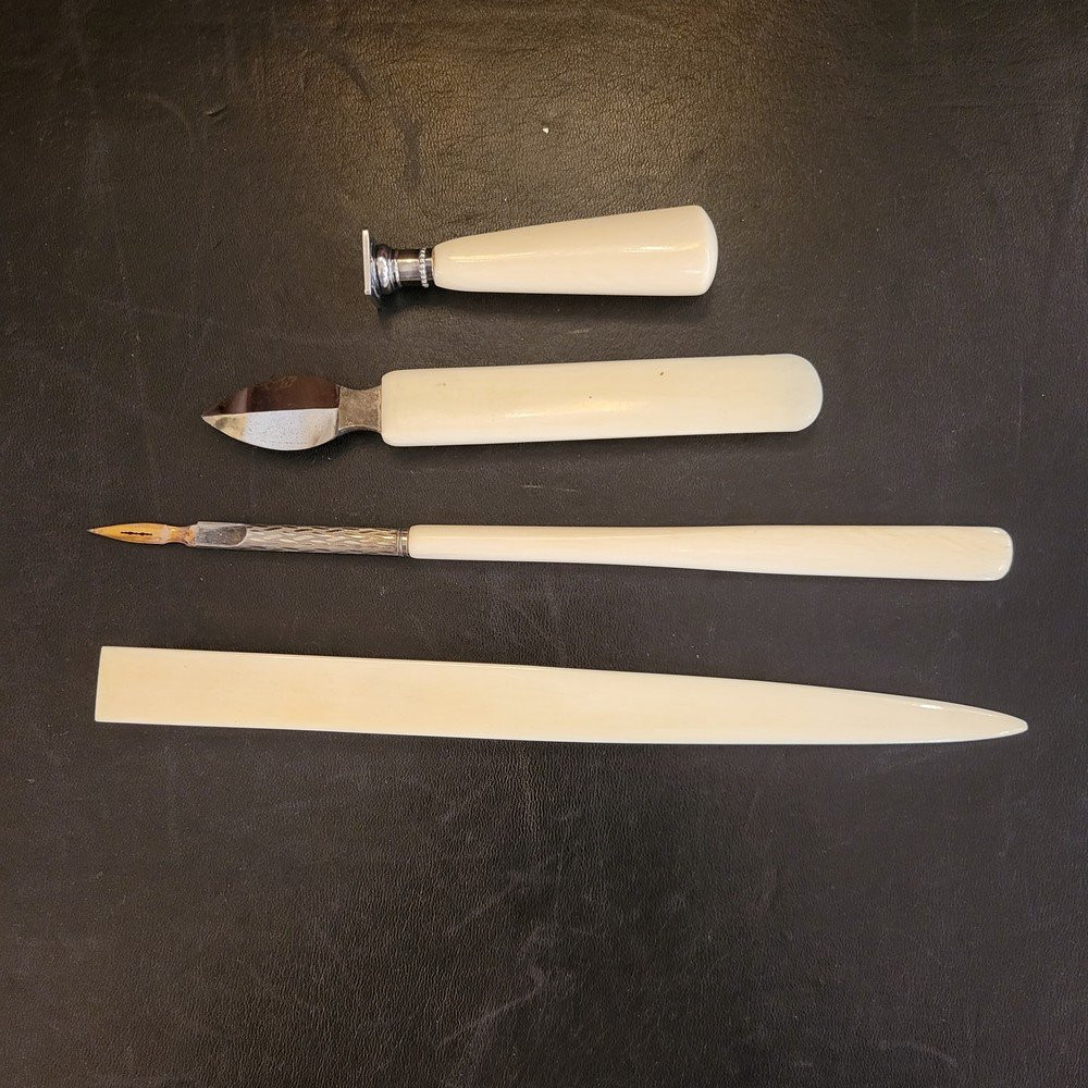 Insect Writing Kit-photo-4