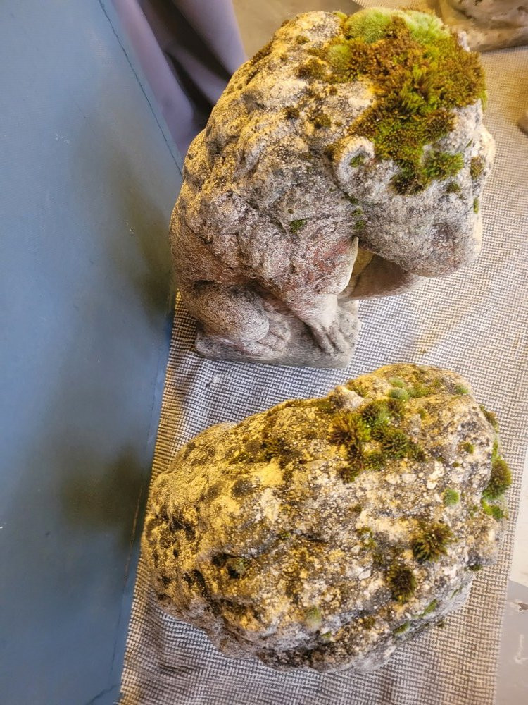 Pair Of Lions In Reconstituted Stone-photo-5