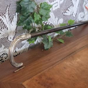 Silver Dandy Cane