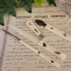Insect Writing Kit