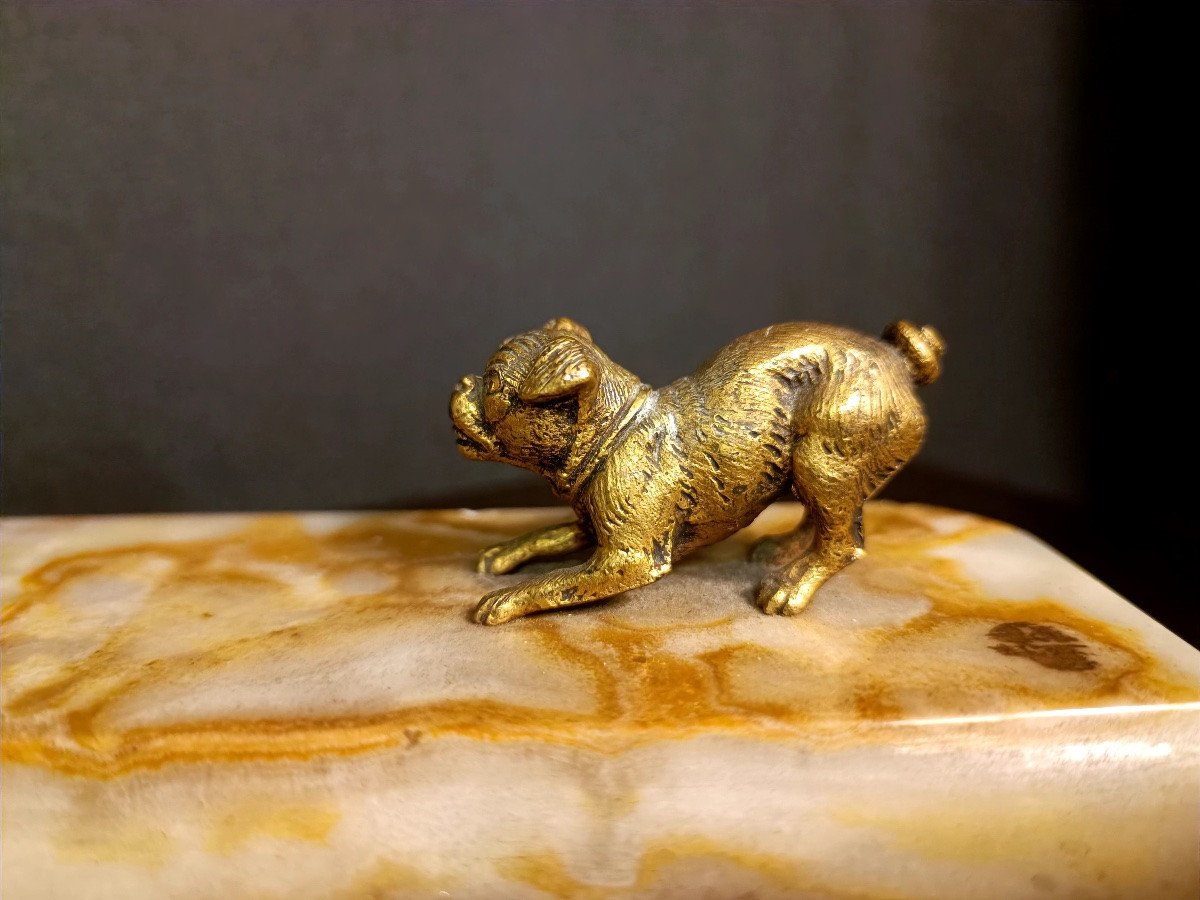 Animal Inkwell-photo-3