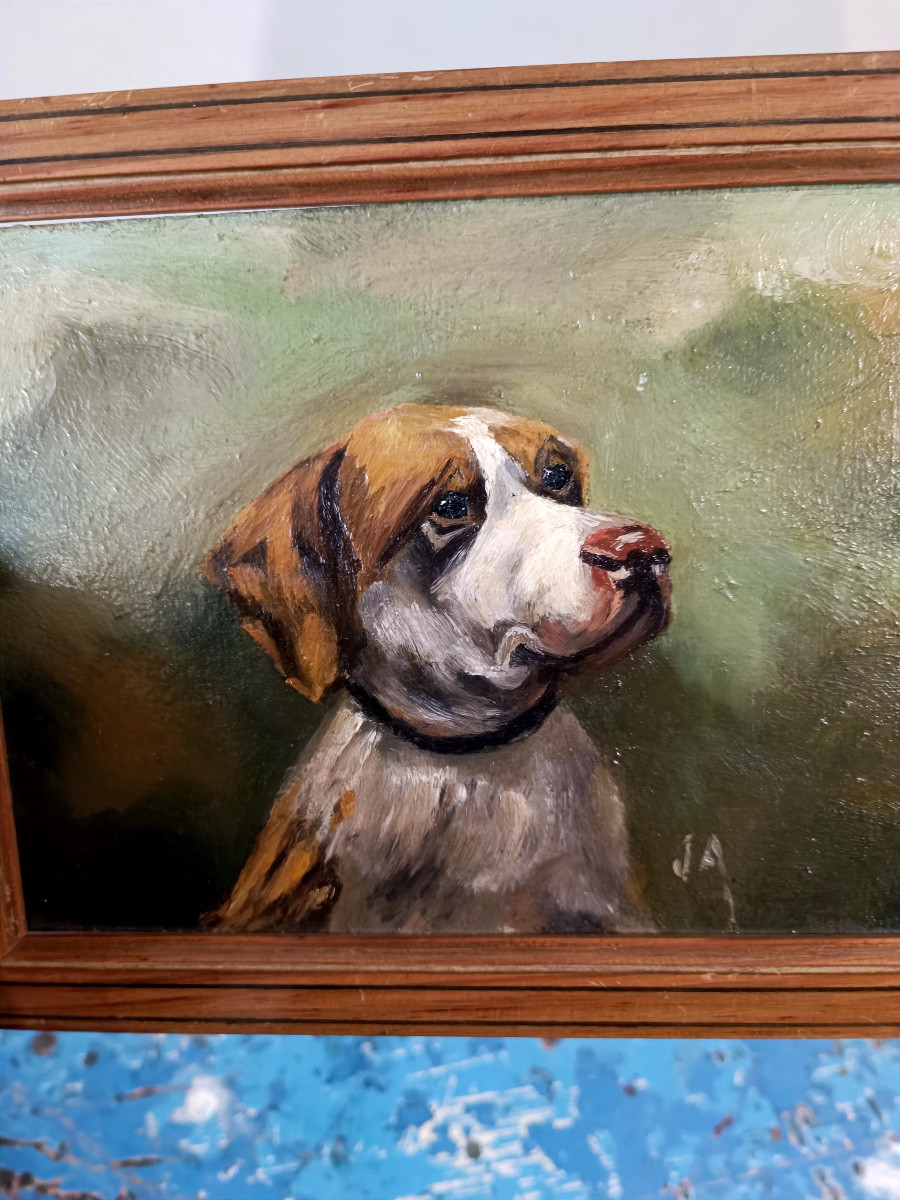 Portrait Of A Hunting Dog-photo-4